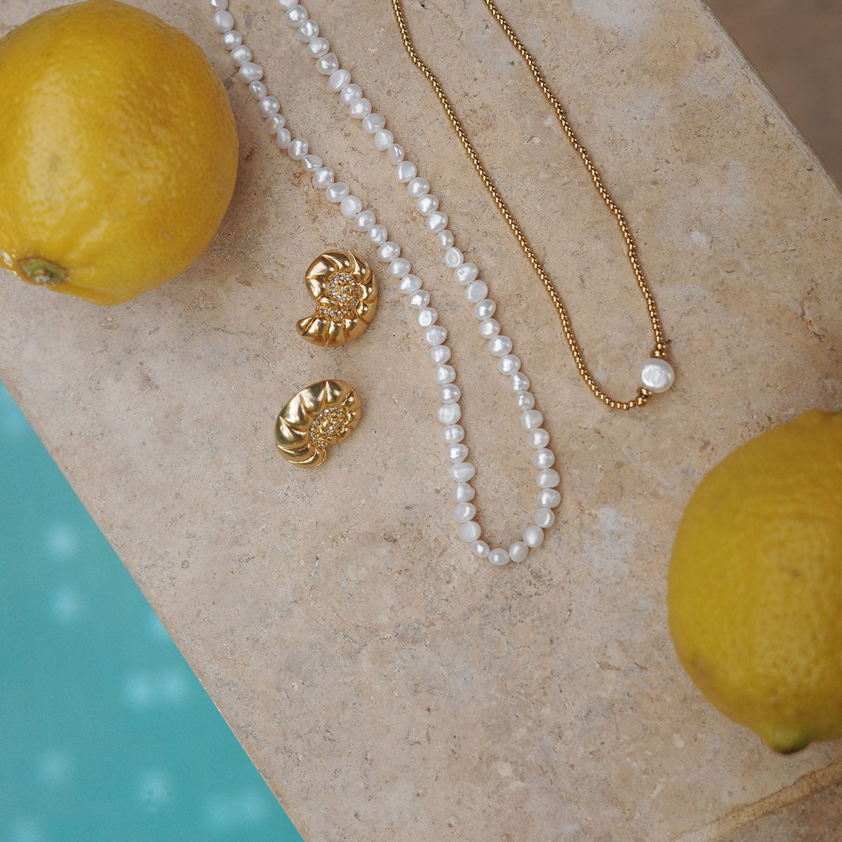 Store konkylie-øredobber, Aquatic - A&C Oslo - Design Collection_3