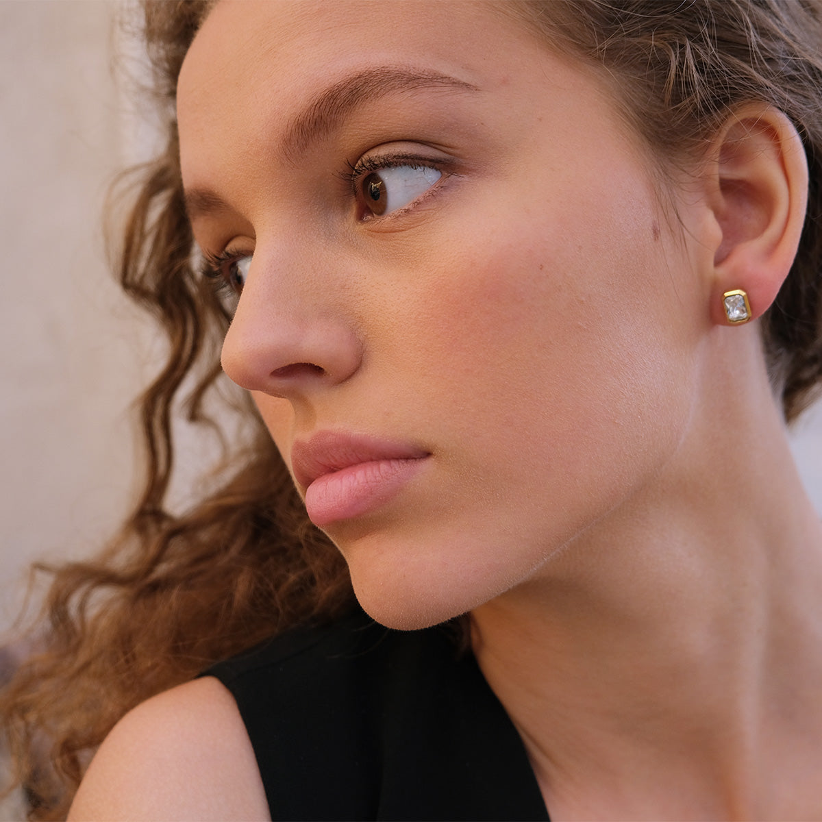 Små øredobber, crystal, Steel_2