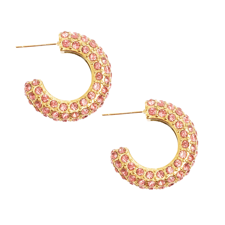Hoops, Wynwood, flamingo, Tone Damli