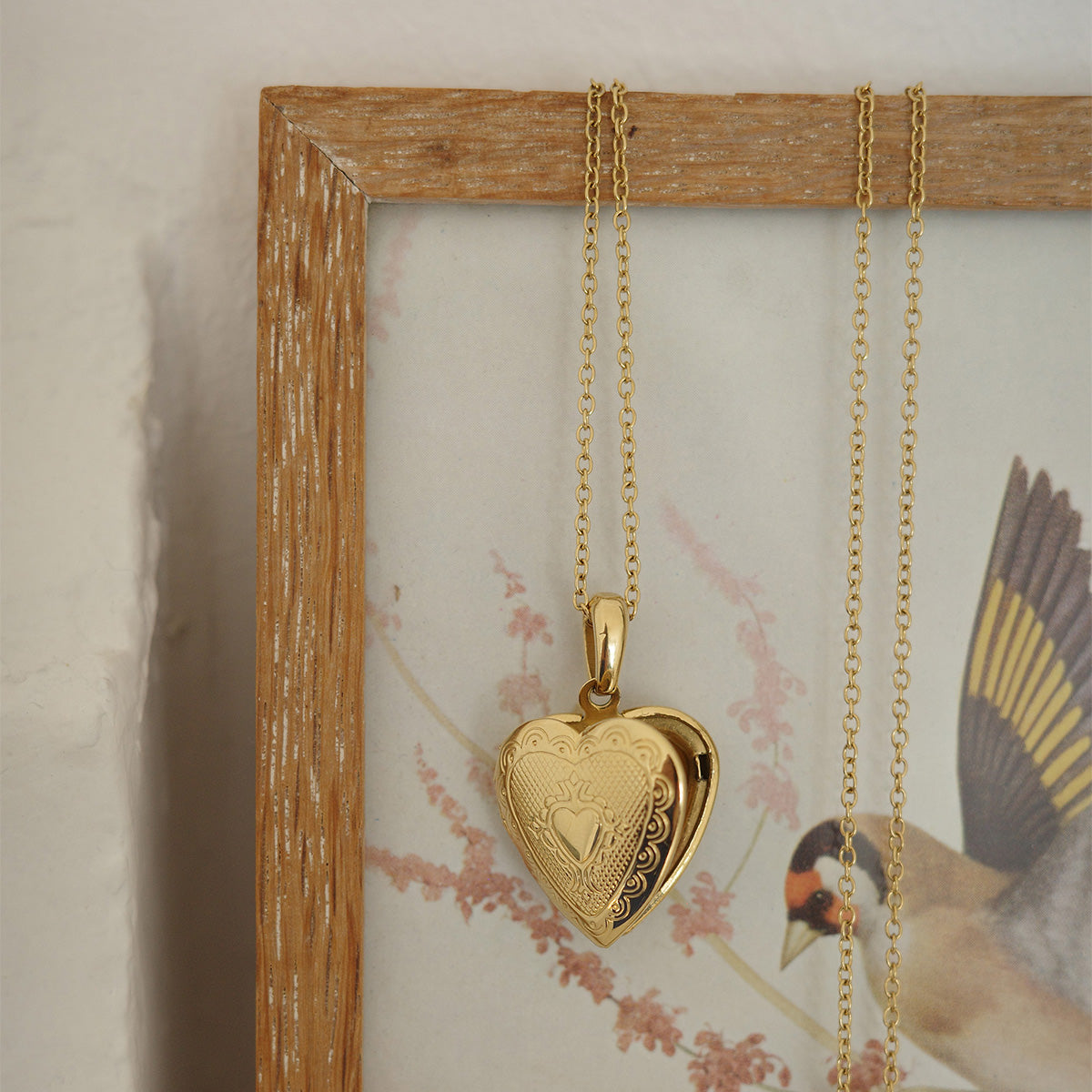 Halvlangt kjede med hjerte-locket, Steel