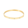 Bangle med cubic zirkonia, Steel G