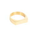 Ring, unisex Steel, plain, G